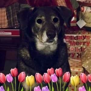 Meet your Posher, Brenda